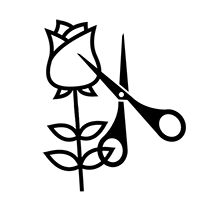 material_200