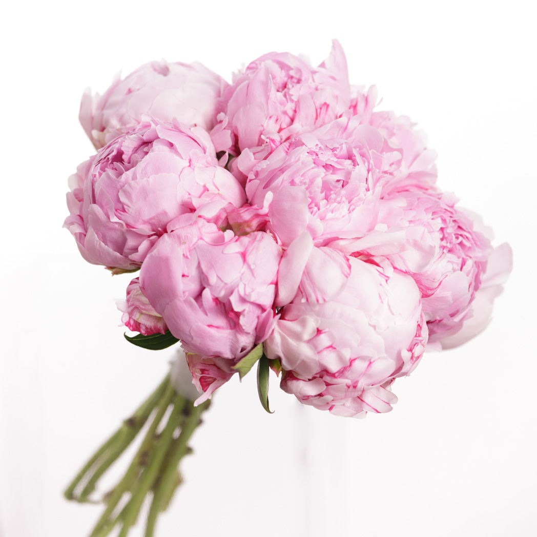Ramo de novia de peonia rosa - Floristeria Fontanillas